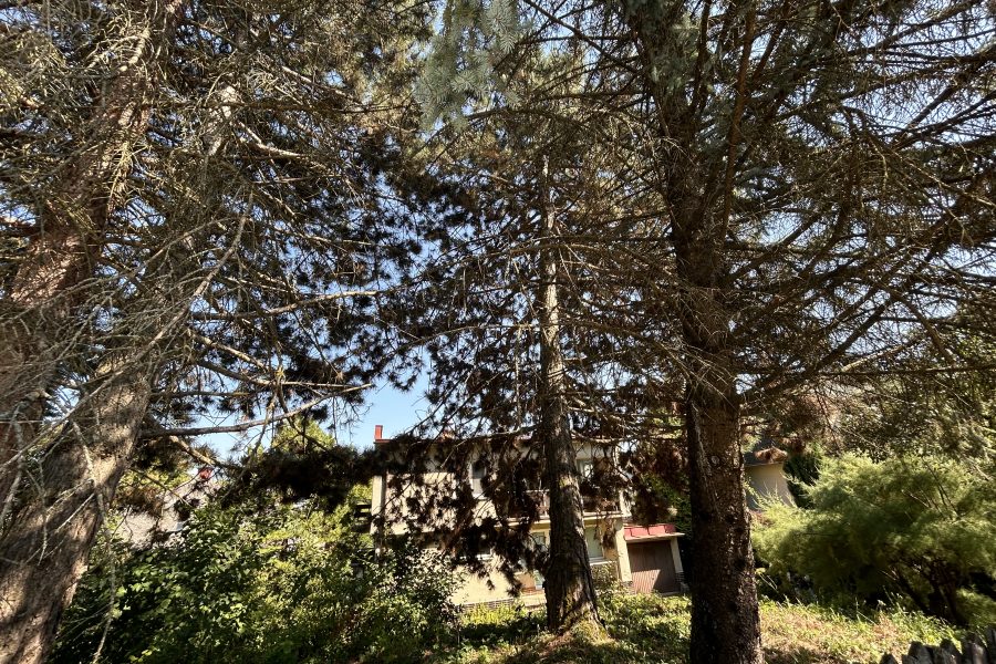 Lokalita: širšie centrum mesta BB – Prenájom 1 izb. bytu (44 m2) s balkónom a parkovaním po kompletnej rekonštruk. v rodinnom dome