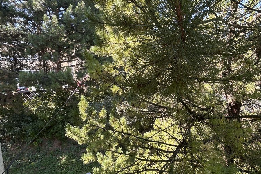 Lokalita: širšie centrum mesta BB – Prenájom 1 izb. bytu (44 m2) s balkónom a parkovaním po kompletnej rekonštruk. v rodinnom dome