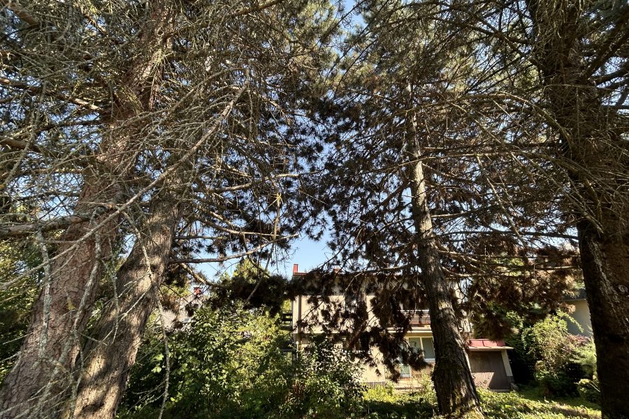 Lokalita: širšie centrum mesta BB – Prenájom 2 izb. bytu (58 m2) s parkovaním po kompletnej rekonštruk. v rodinnom dome