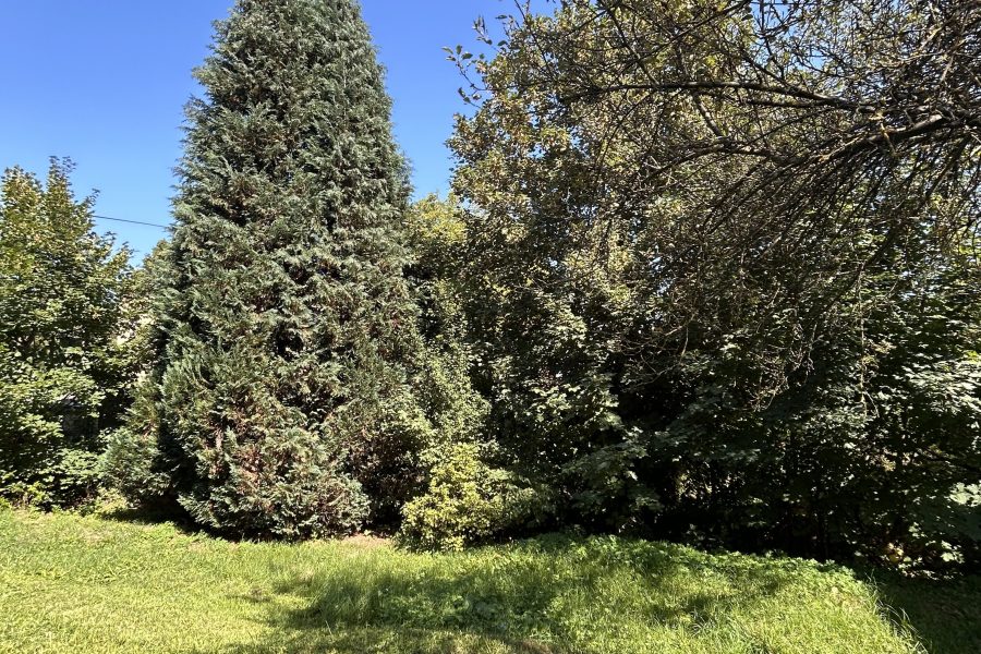 Lokalita: širšie centrum mesta BB – Prenájom 2 izb. bytu (58 m2) s parkovaním po kompletnej rekonštruk. v rodinnom dome